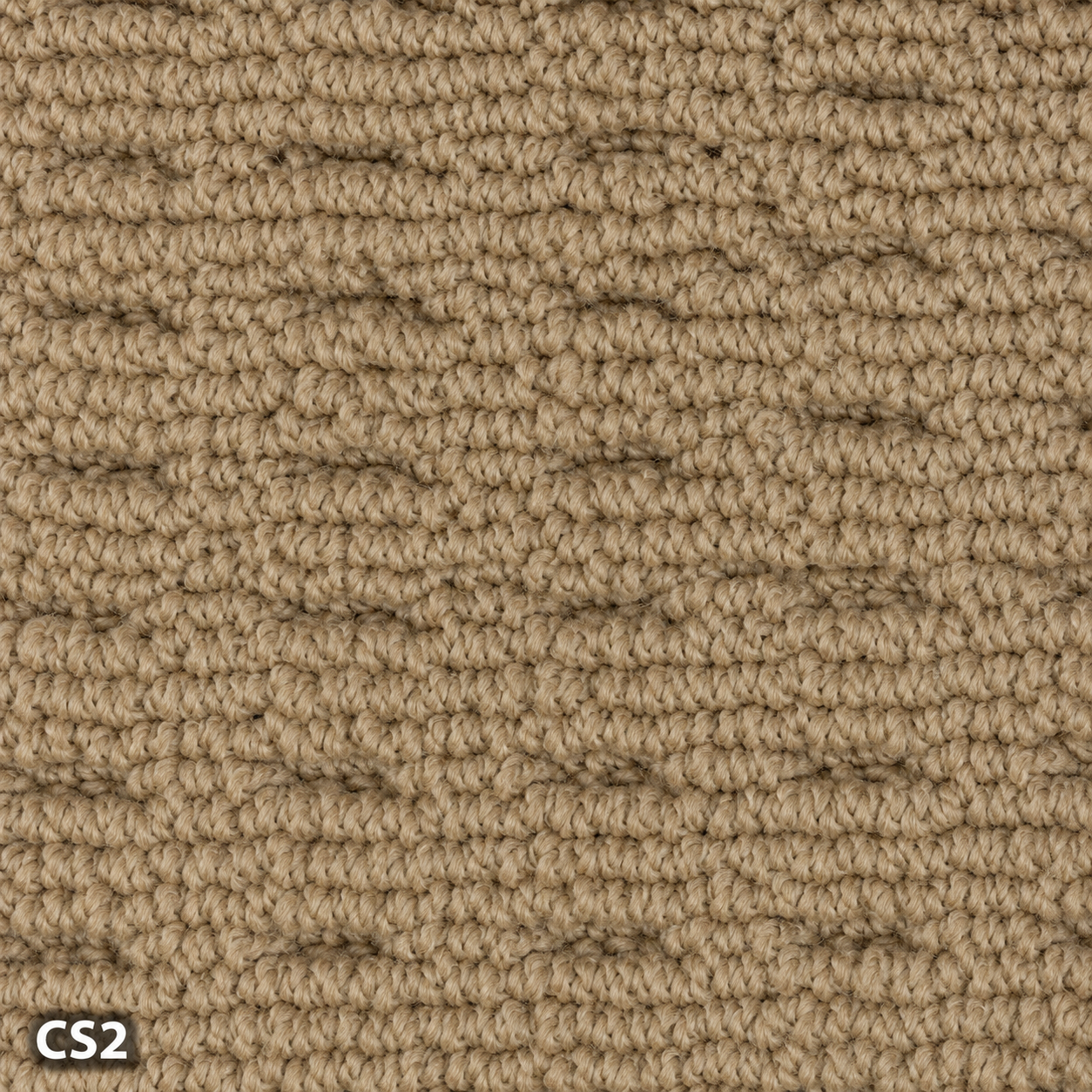 Carpet sample CS2 — Tan & Brown