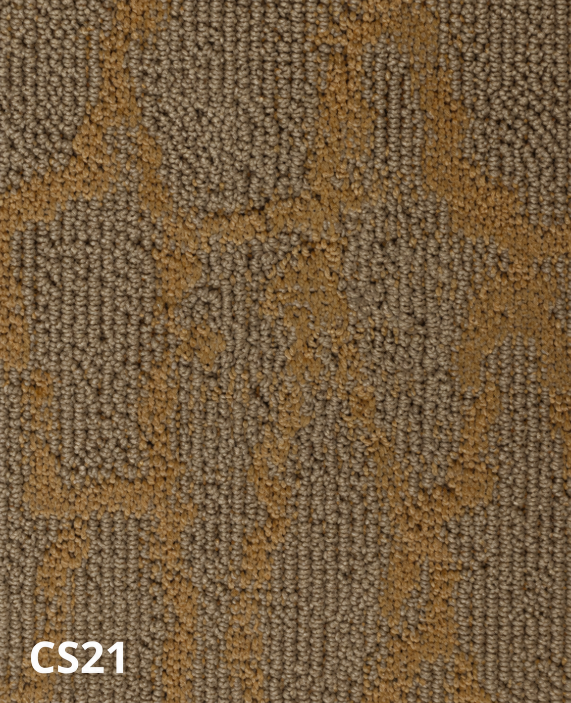 Carpet sample CS21 — Tan & Brown