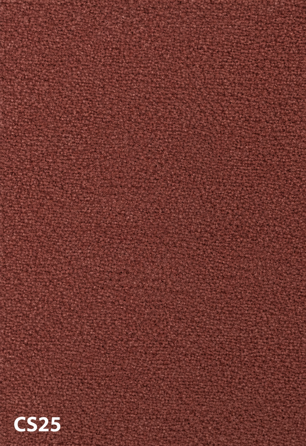 Carpet sample CS25 — Accent Colours