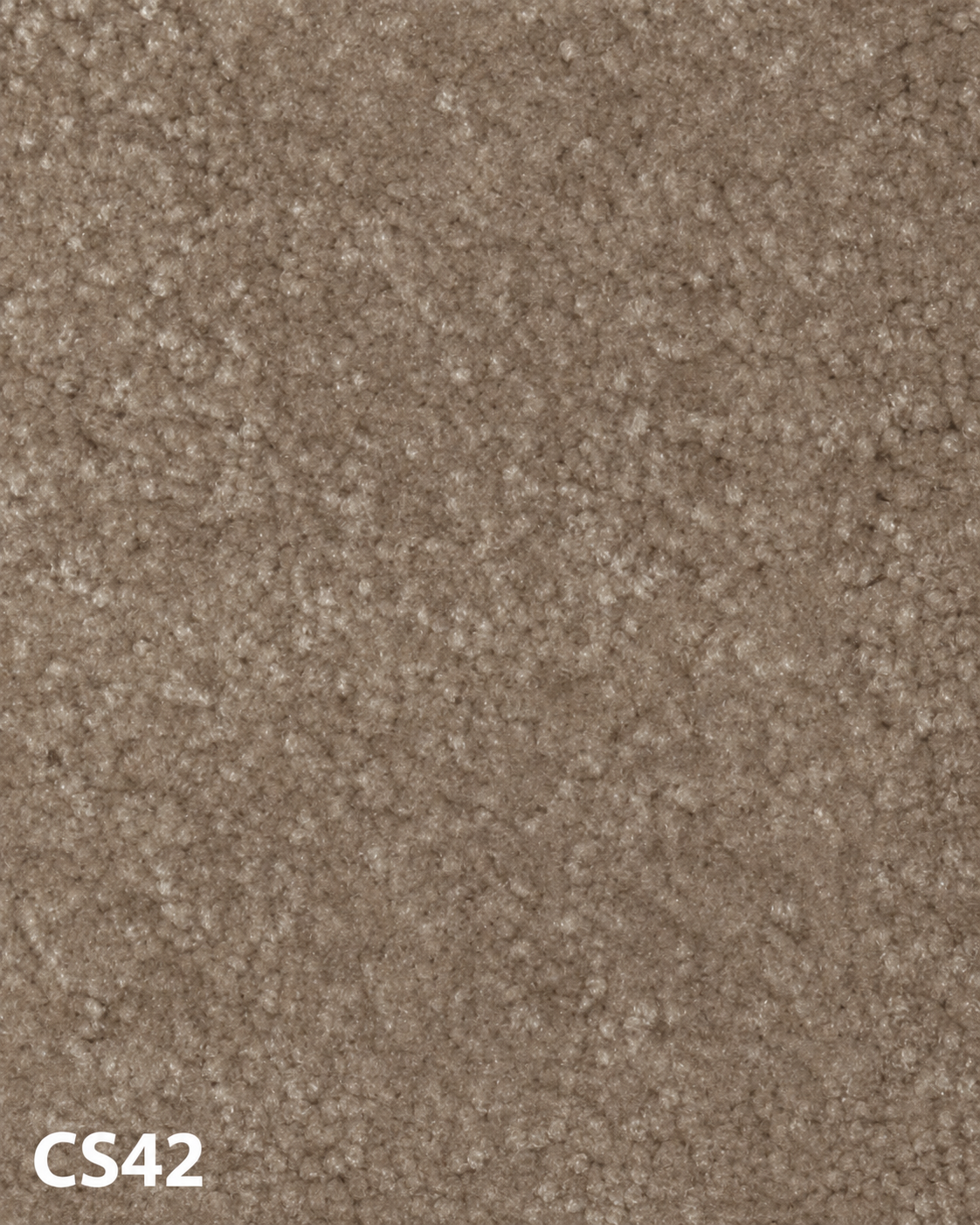 Carpet sample CS42 — Tan & Brown