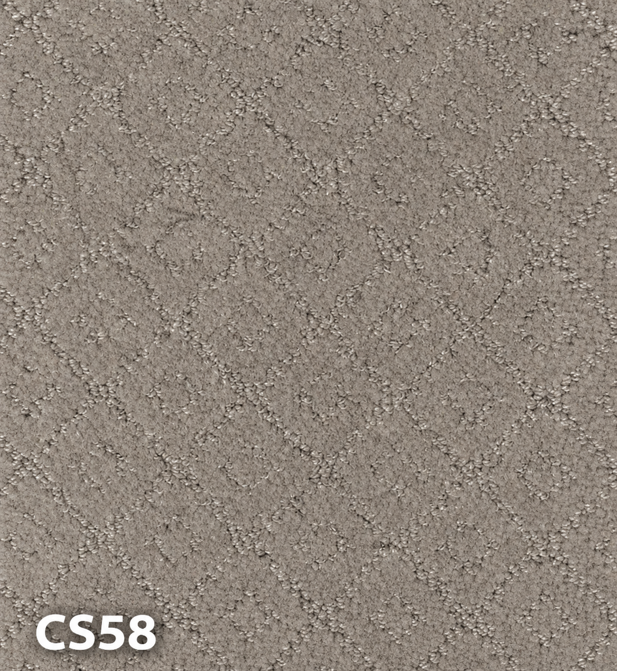 Carpet sample CS58 — Grey & Silver