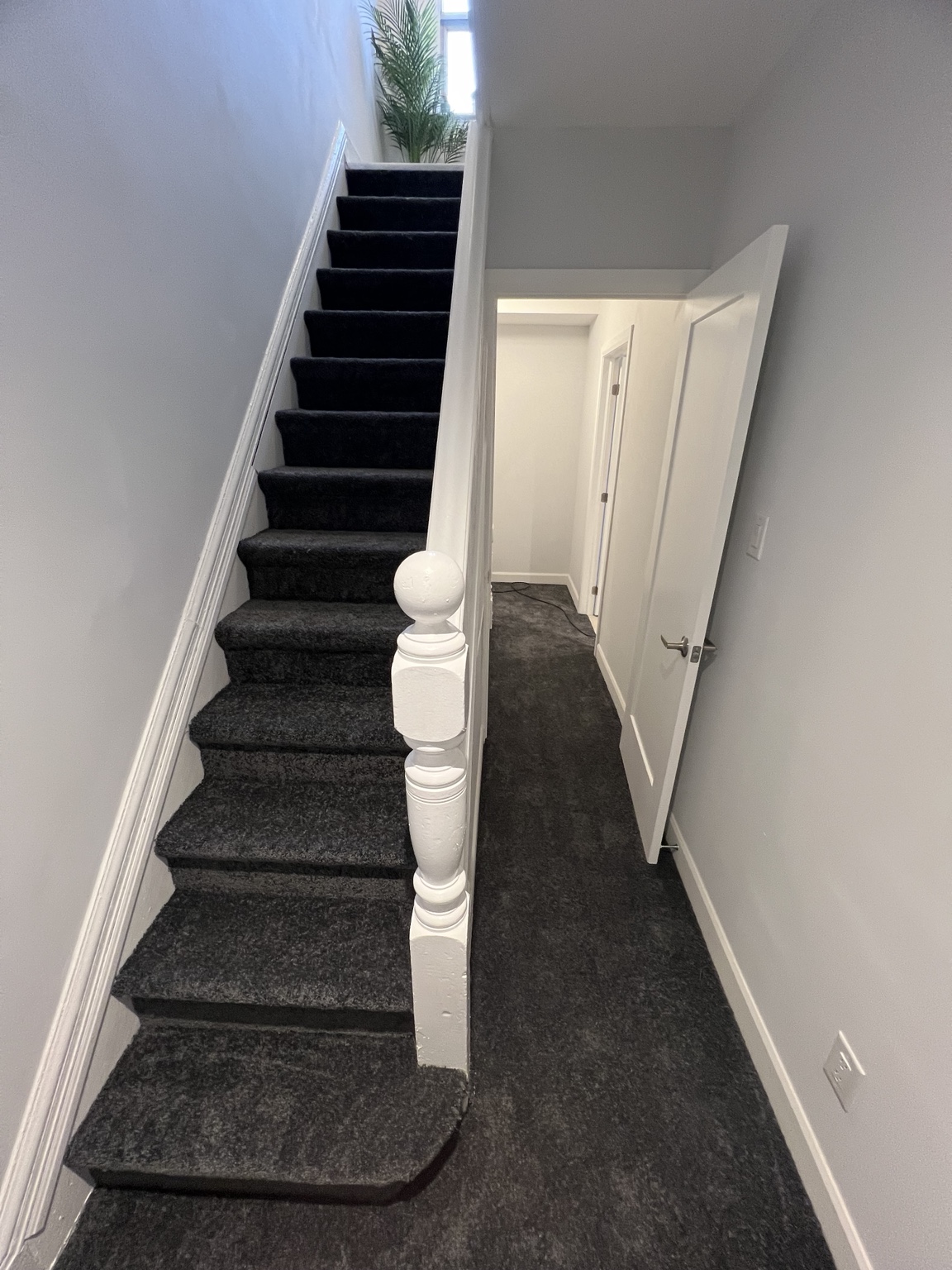 Carpet Stairs & Hallway — Forest Hill