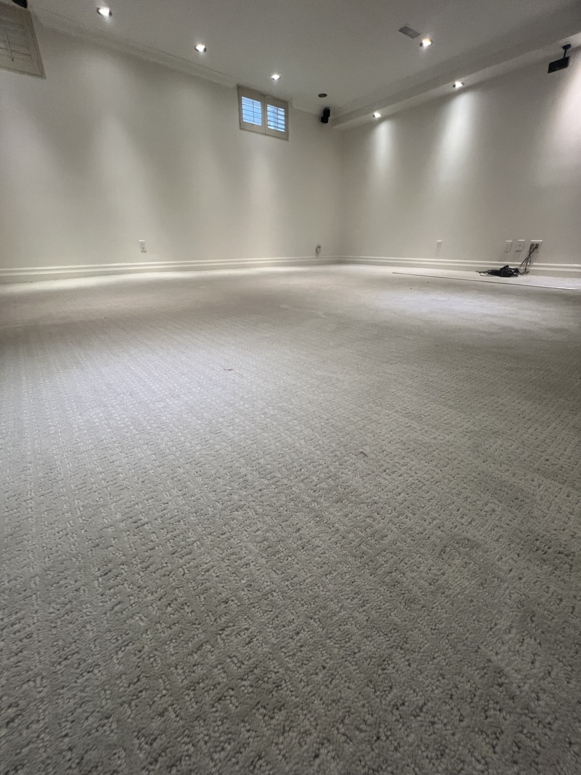 Wool Carpet — Forest Hill