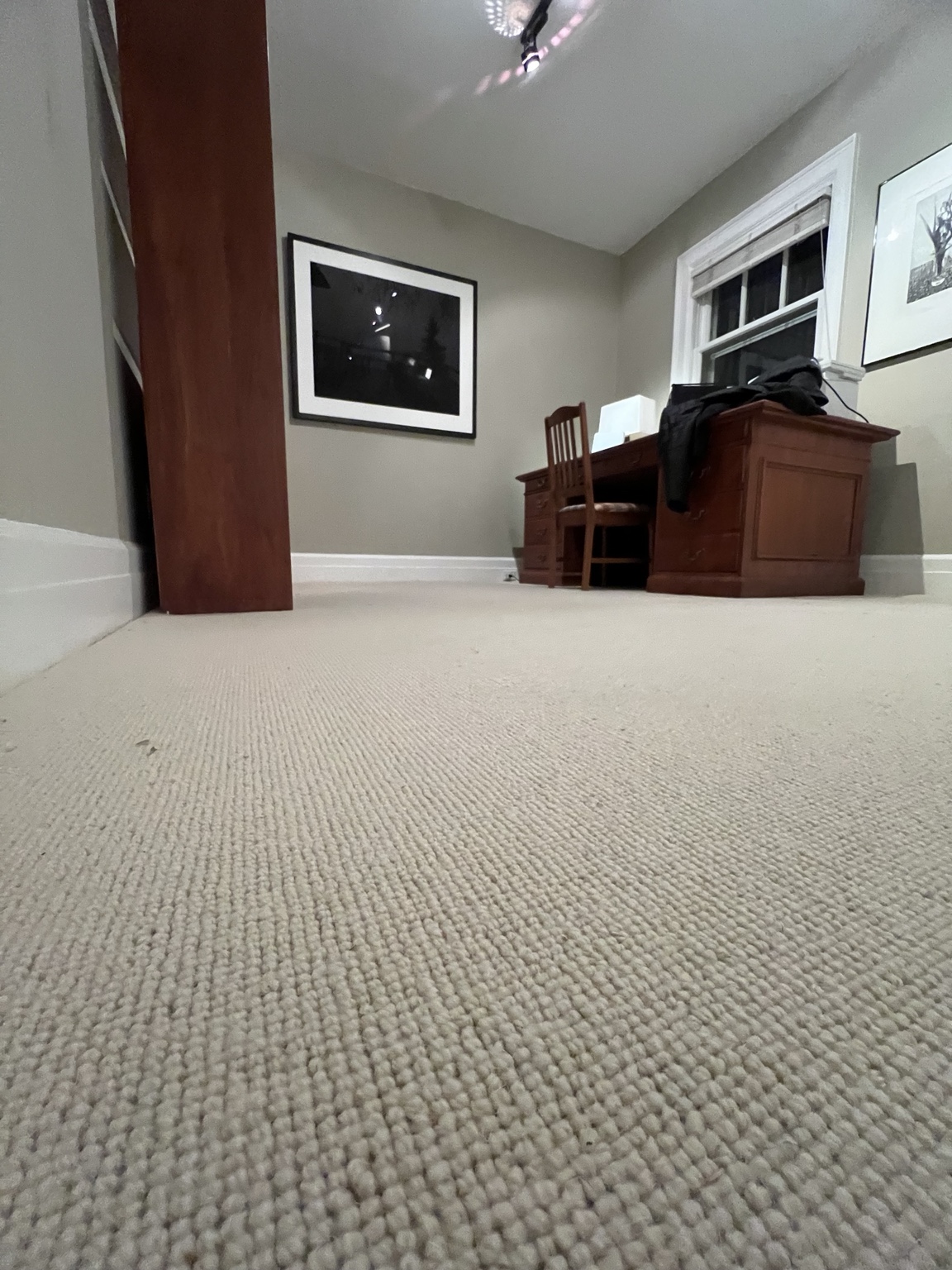 Wool Carpet β Rosedale