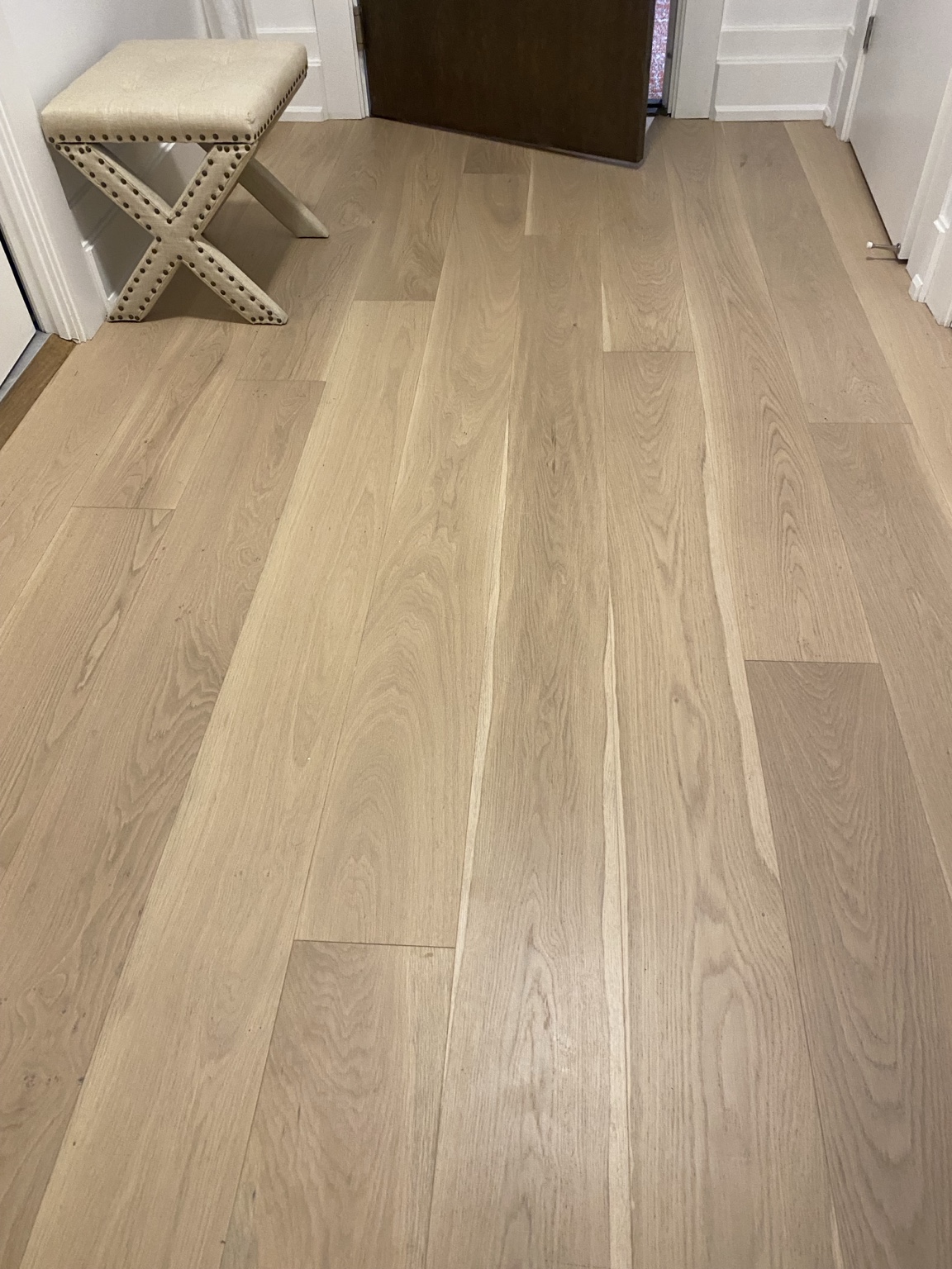 Best Flooring for Families with Pets in Toronto